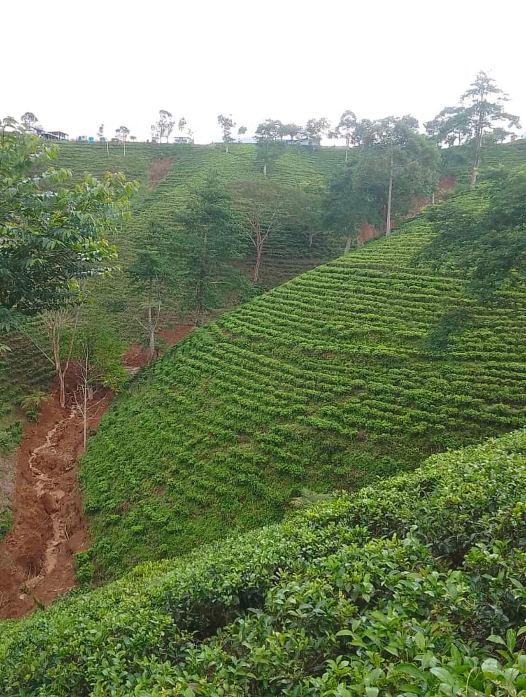 Sejumlah titik mengalami bencana tanah longsor akibat hujan deras di wilayah Karanganyar pada Senin (16/12) sore.