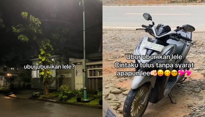 Gombalan Ubur Ubur Ikan Lele di TikTok.