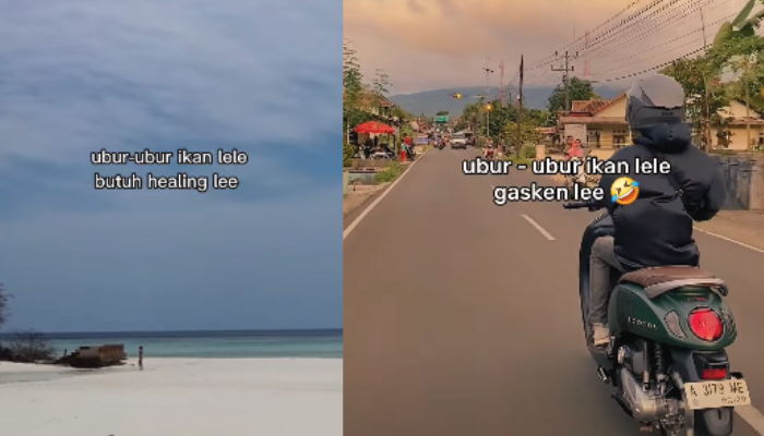 Kumpulan pantun Ubur ubur ikan lele yang viral di TikTok.