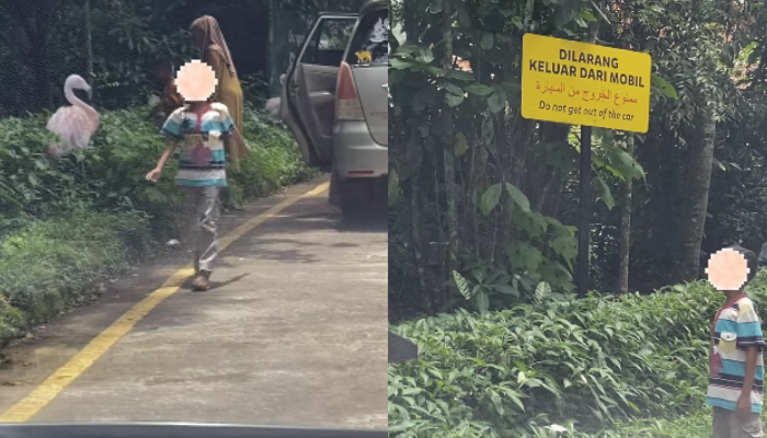 Pengunjung taman safari viral usai keluar dari mobil.