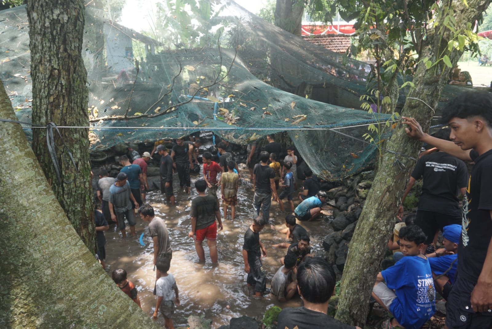 Suasana Sendang Gotan saat dibersihkan dalam tradisi nawu sendang dengan kegiatan menangkap ikan lele.