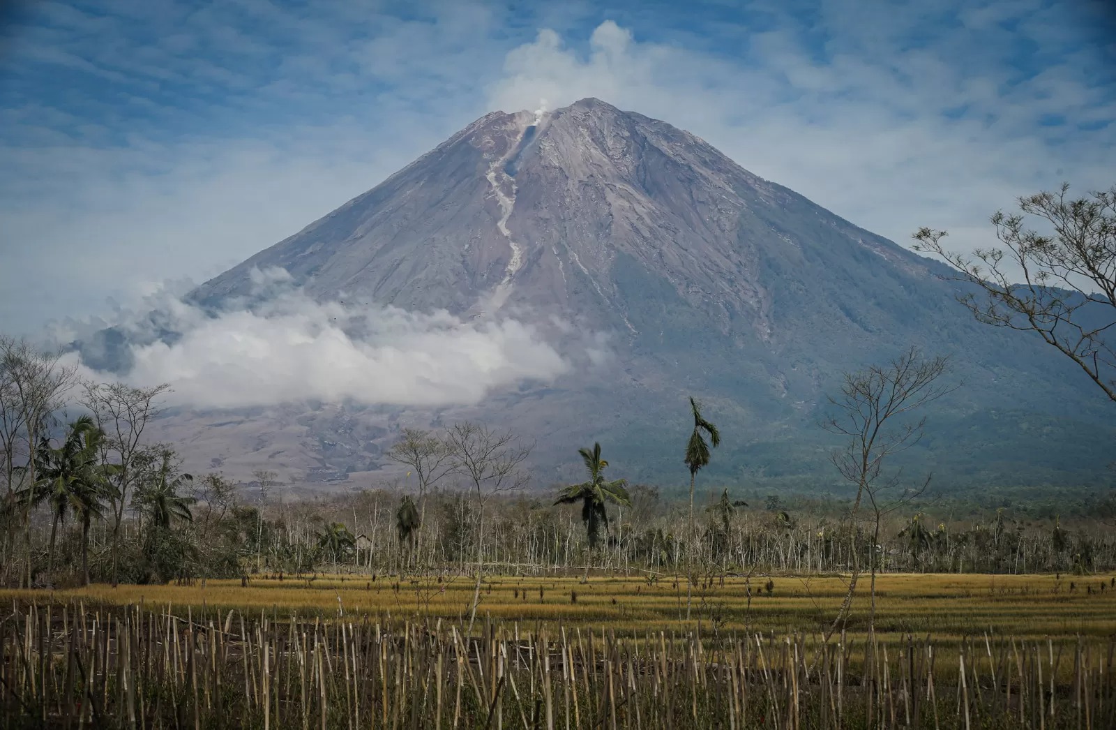 Gunung Semeru erupsi pada Kamis, (13/3/25).