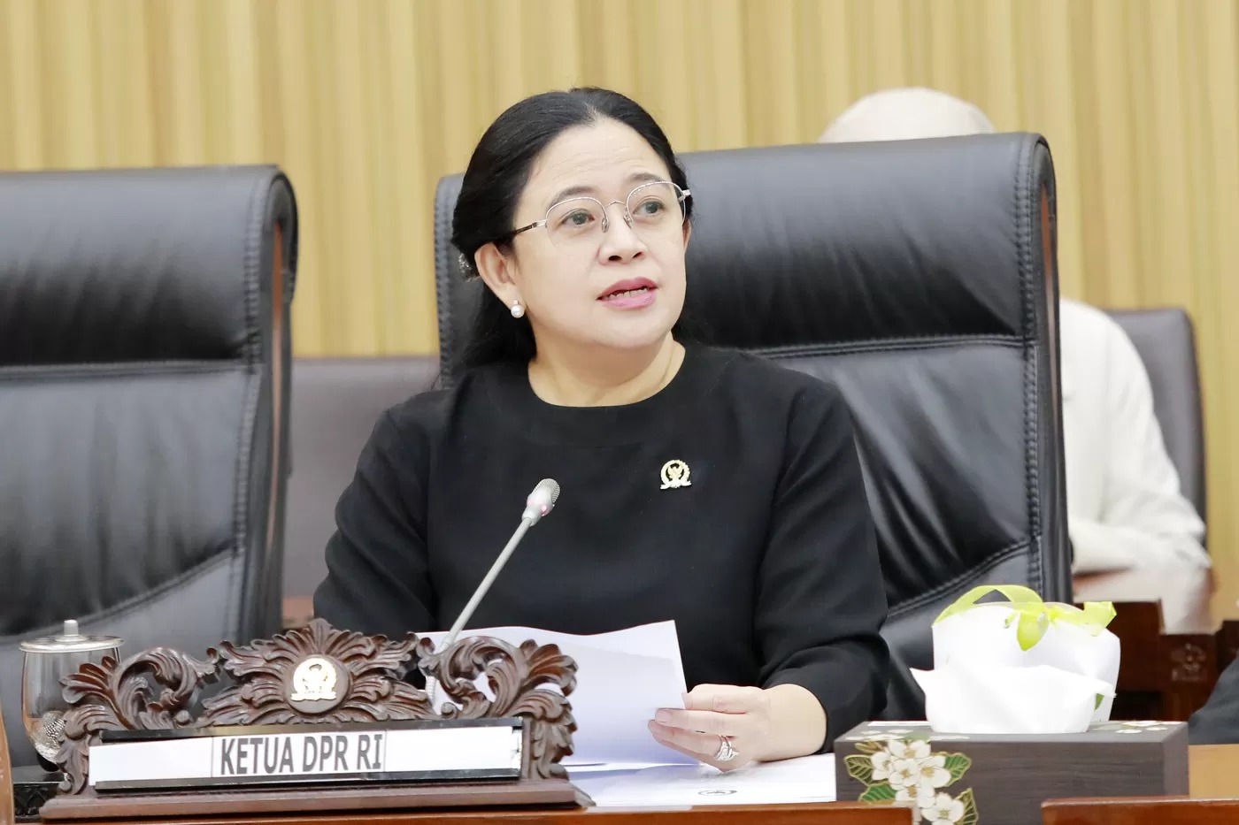Puan Maharani Ketua DPR RI.