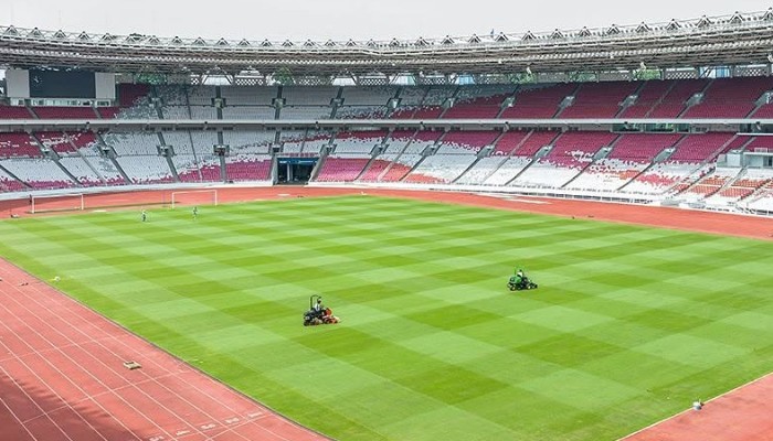Kondisi terkini rumput GBK jelang laga lawan Bahrain.