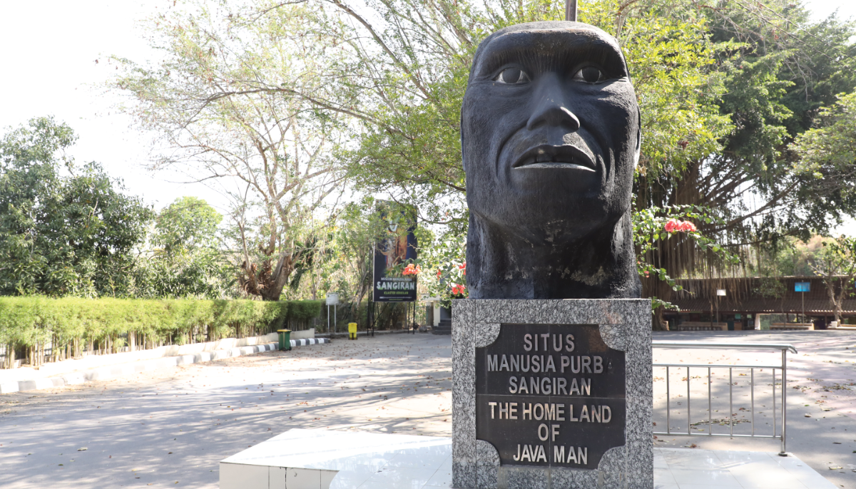 Museum sangiran.