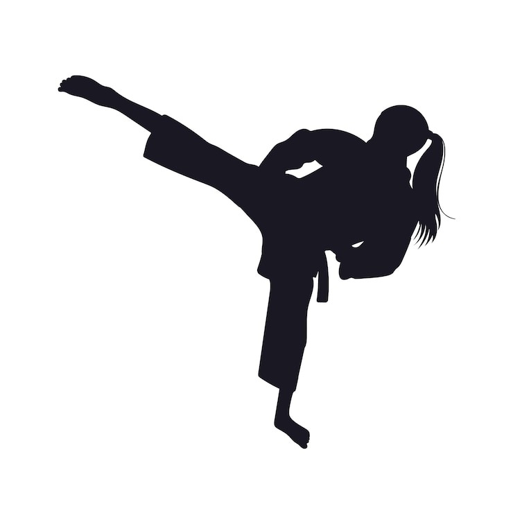 Ilustrasi pencak silat.
