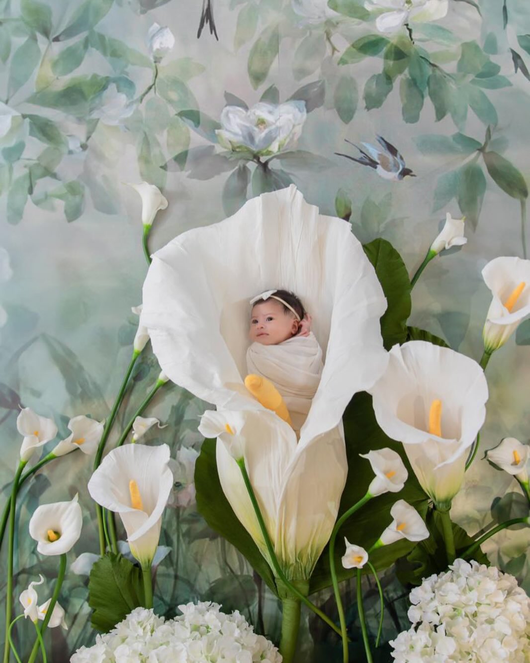 Lily newboarn.