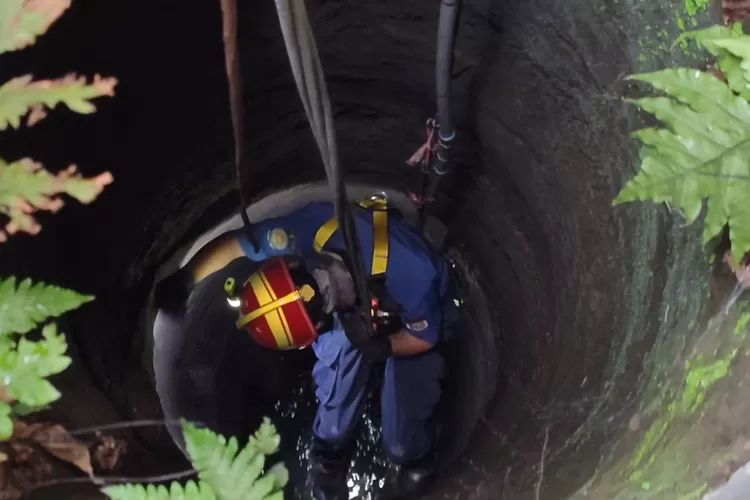 Damkar Boyolali selamatkan kucing yang tercebur ke dalam sumur.