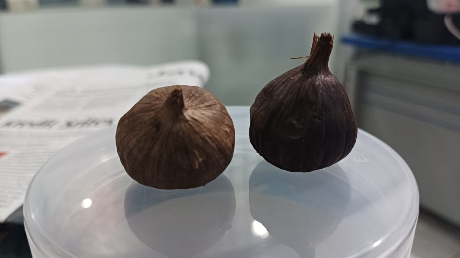 Black garlic mempunyai banyak manfaat bagi kesehatan tubuh.
