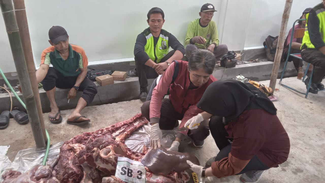 Dinas Pertanian dan Perikanan Kabupaten Sukoharjo memperketat pengawasan hewan kurban