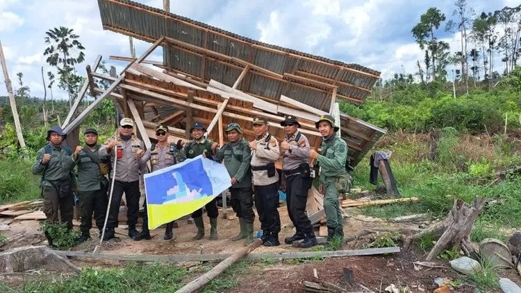 Petugas Kementerian Kehutanan (Kemenhut) melakukan penertiban bangunan liar di Taman Nasional Tesso Nilo, Riau.