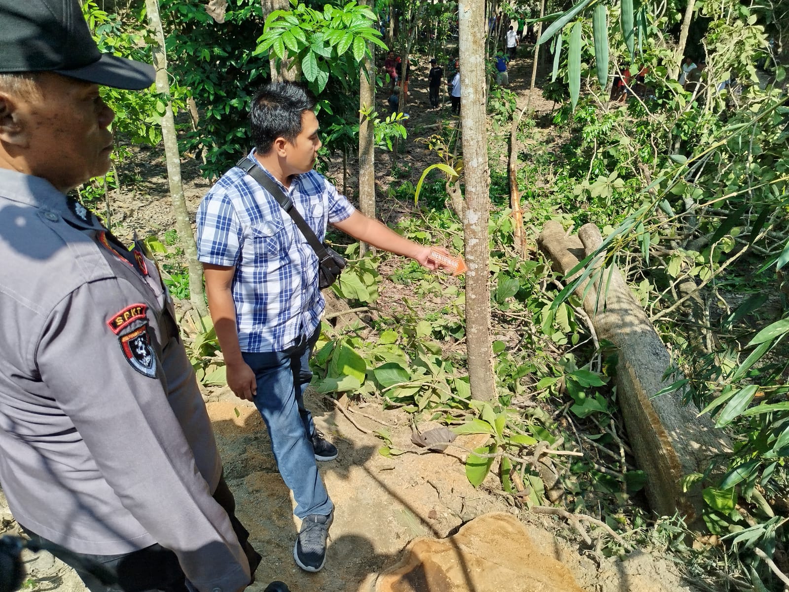 Nahas! Penebang Kayu Asal Grobogan Tewas Tertimpa Pohon Mahoni di Sragen