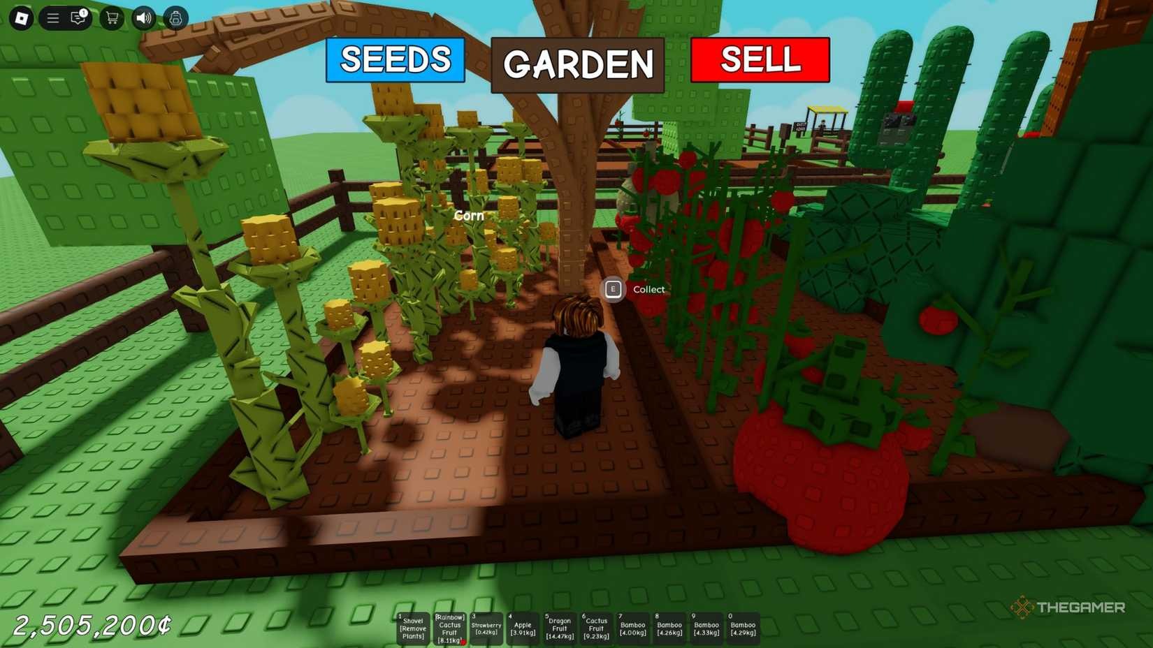 Grow A Garden Roblox.