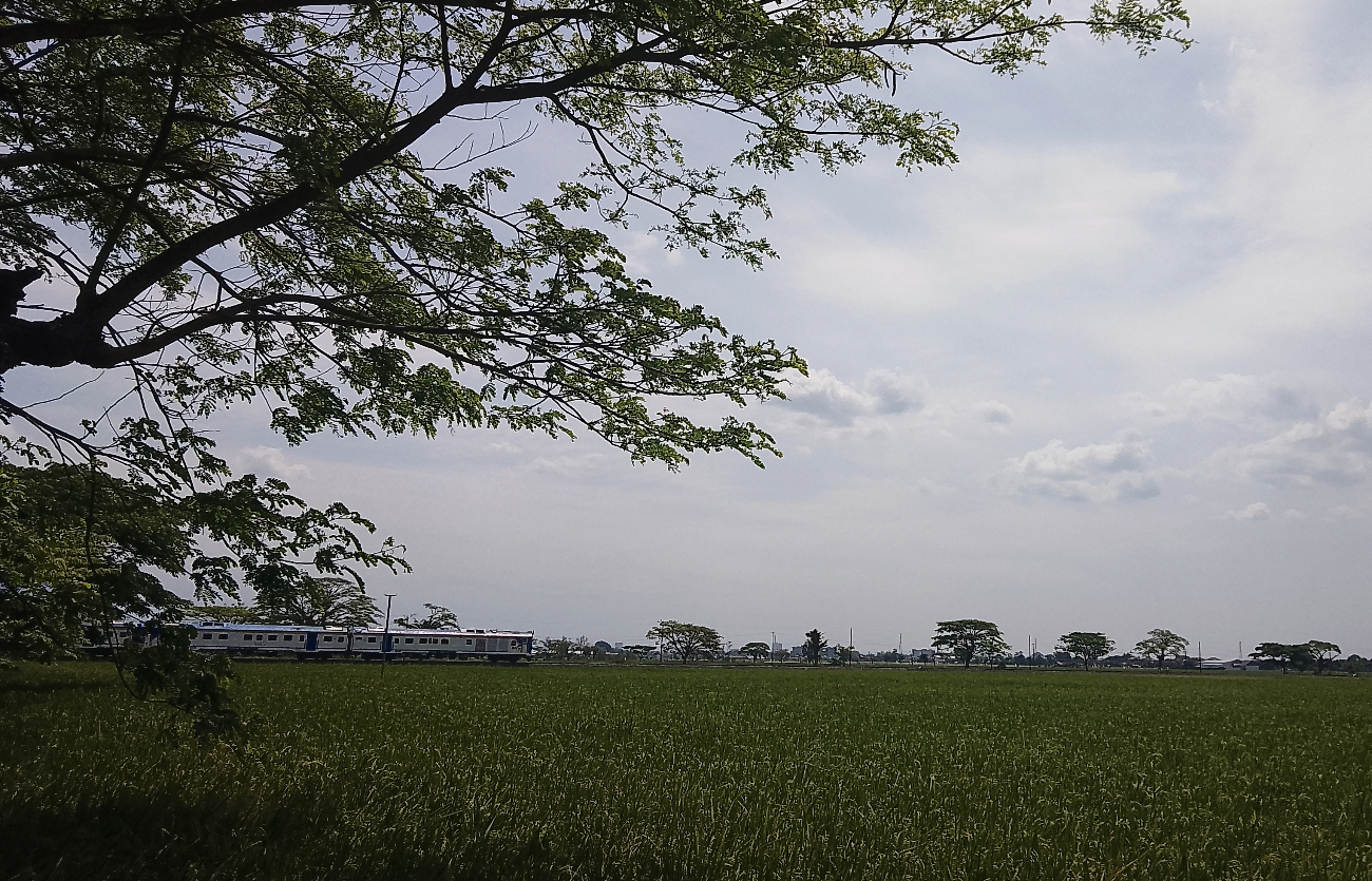 Kereta Batara Kresna yang melintas di rel Desa Tegalmade, Kecamatan Mojolaban, Kabupaten Sukoharjo