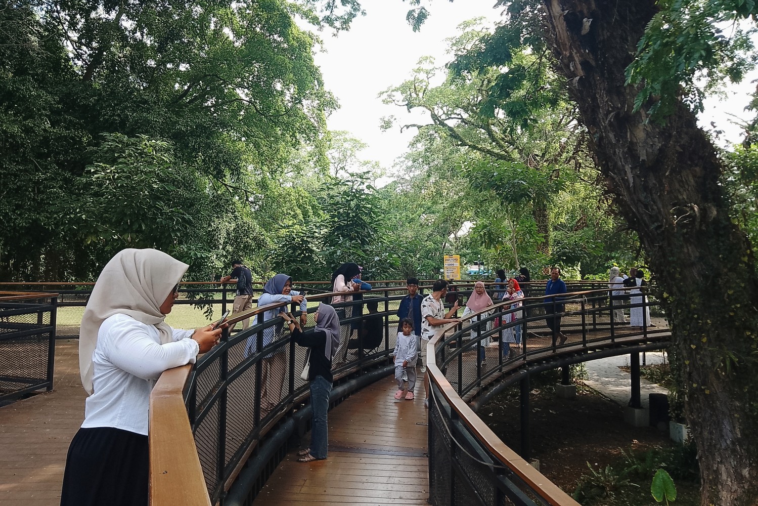 anyak pengunjung yang sedang berada di area skywalk Taman Balekambang untuk sekadar menikmati suasana taman atau berswafoto, Senin (18/8/2025)