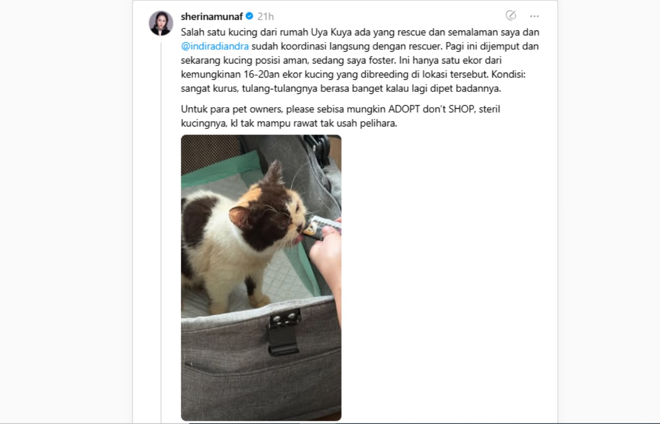 Unggahan Threads Sherina Munaf.