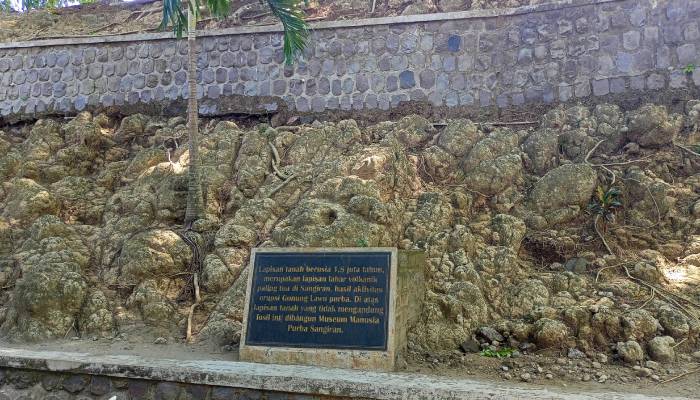 Lapisan tanah berusia 1,8 juta tahun hasil erupsi Gunung Lawu Purba di Museum Sangiran Klaster Krikilan, Sragen, Jawa Tengah, Rabu (27/8/25).
