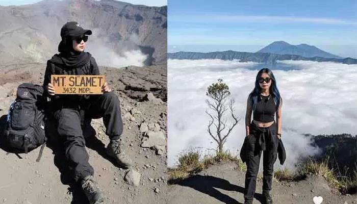 Hasil Gemini AI di puncak gunung.