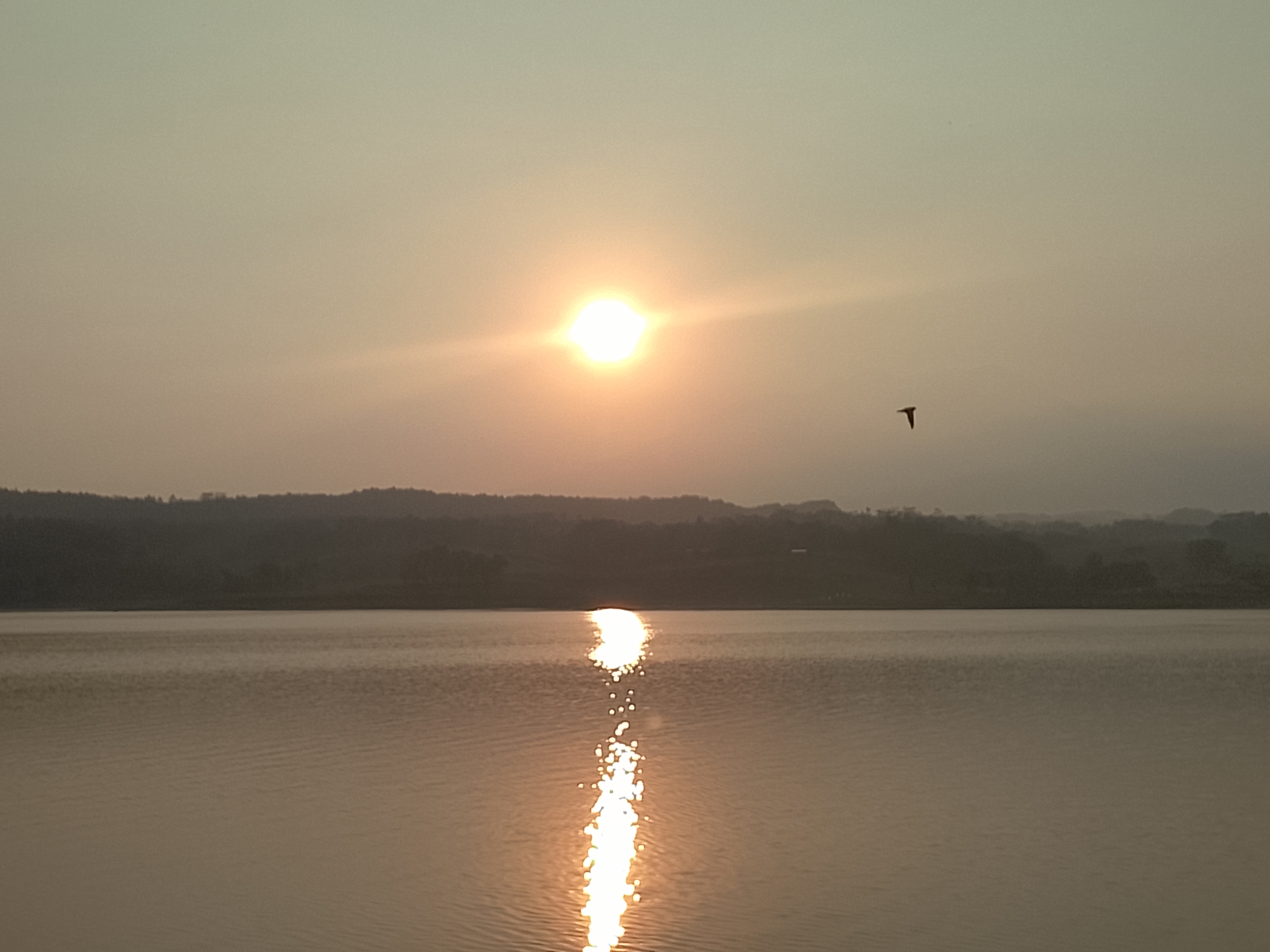 Menikmati Sunrise di Waduk Delingan Karanganyar.