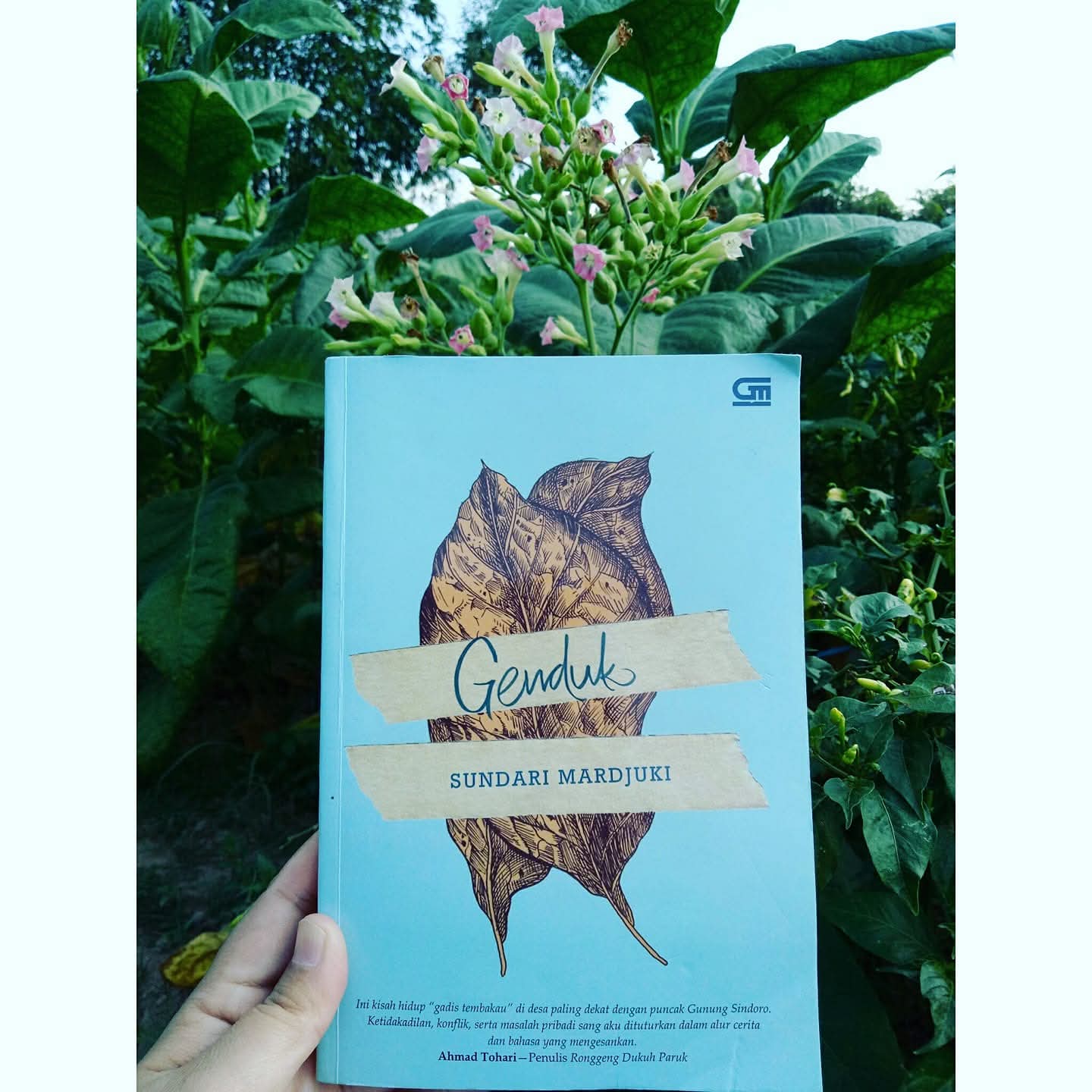 Novel berjudul Genduk.