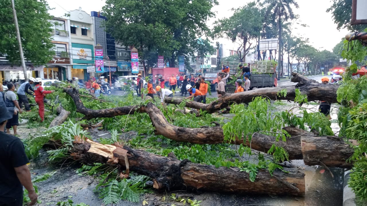 Bencana : Angin Kencang Terjang Sukoharjo, Lima Titik Pohon Tumbang