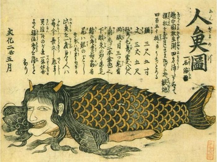 Ilustrasi Ningyo.