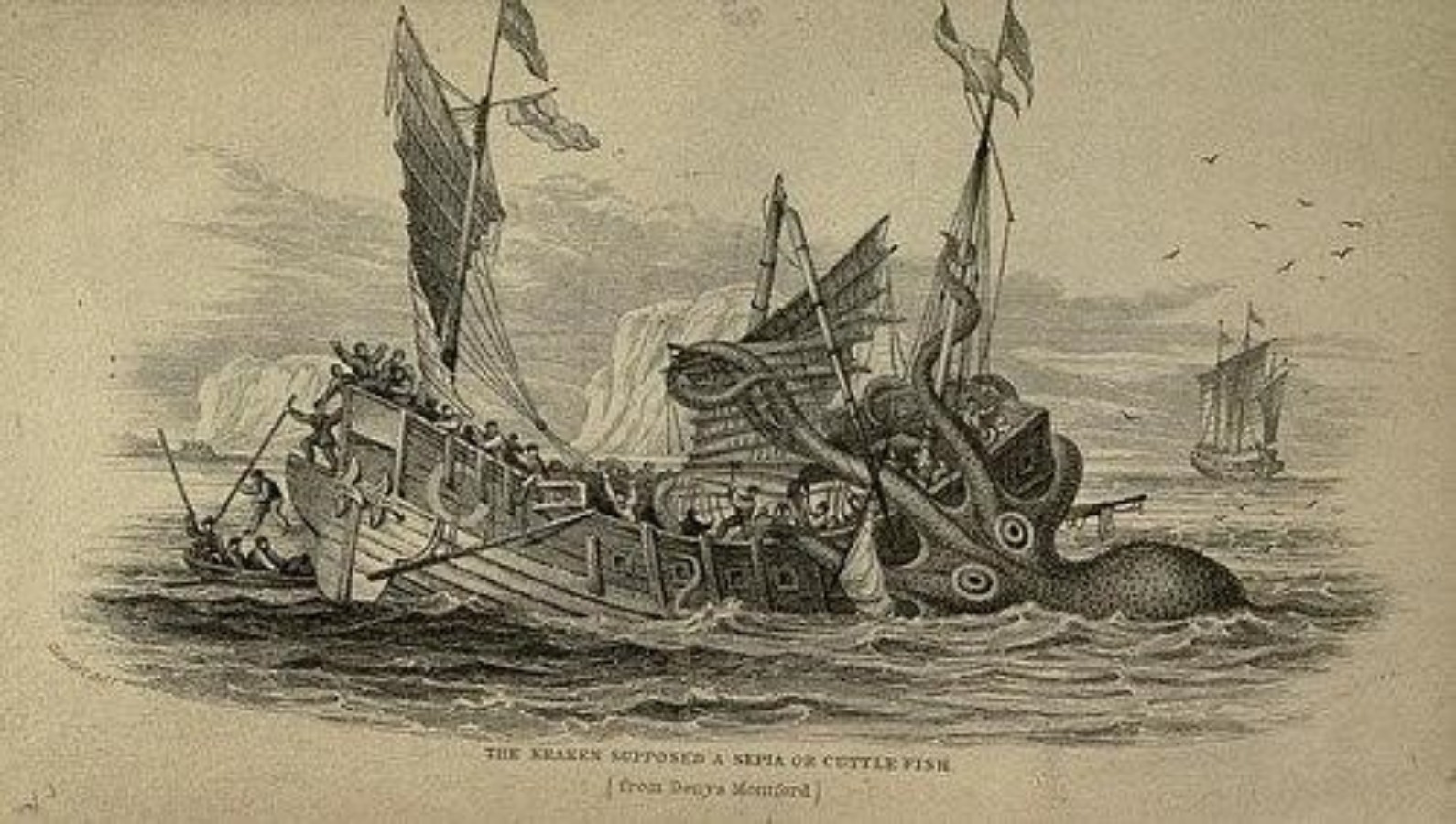 Ilustrasi Kraken.