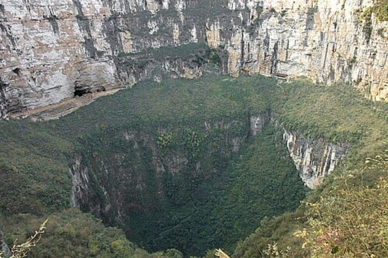 Sinkhole Xiaozhai Tiankeng (Chongqing, China) sedalam 662 m. Simpan hutan tropis & 1.285 spesies langka.