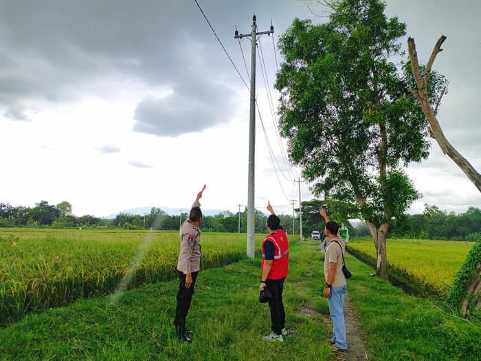 Marak pencurian kabel jaringan listrik PLN di wilayah Solo Raya