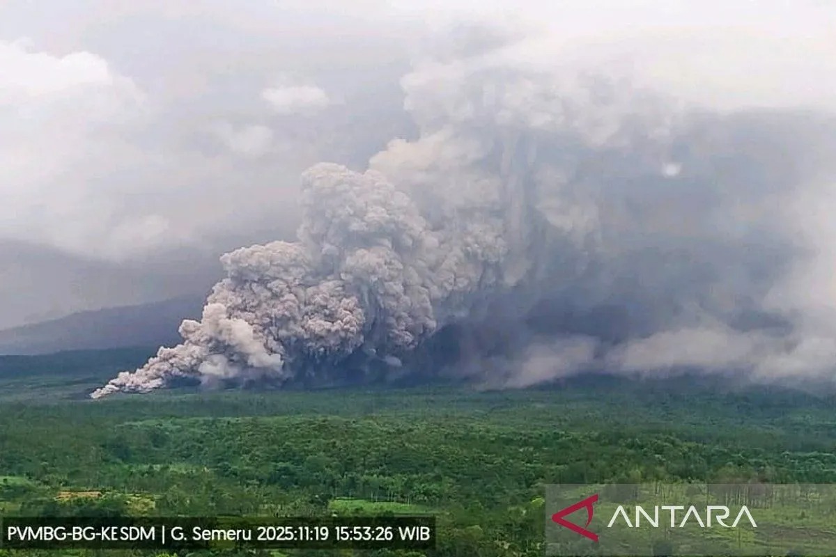 Gunung Semeru di Jawa Timur erupsi disertai luncuran awan panas sejauh 7 km dari puncak pada Rabu (19/11/2025) sore.