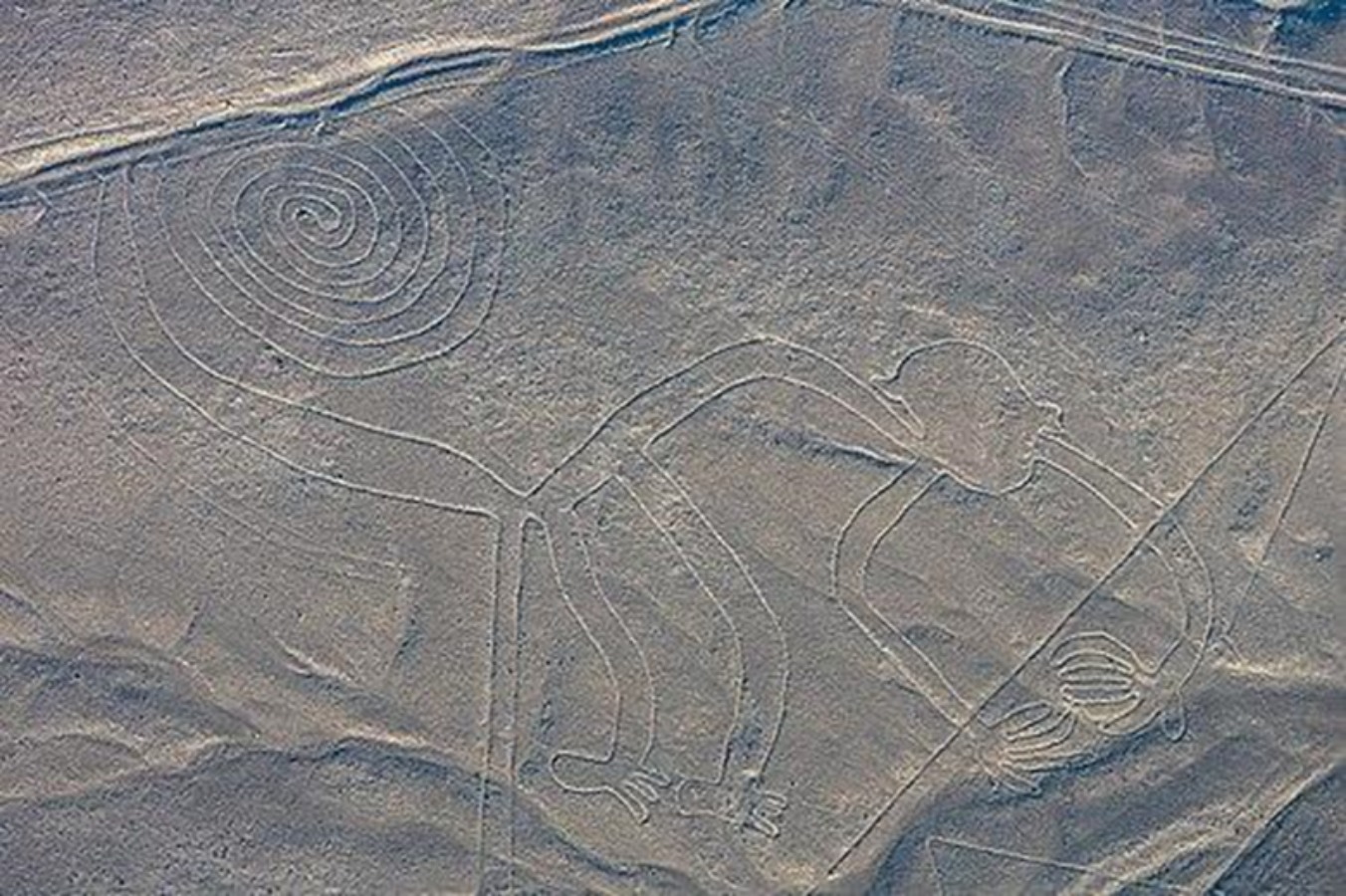 Ilustrasi Garis Suku Nazca di Peru.