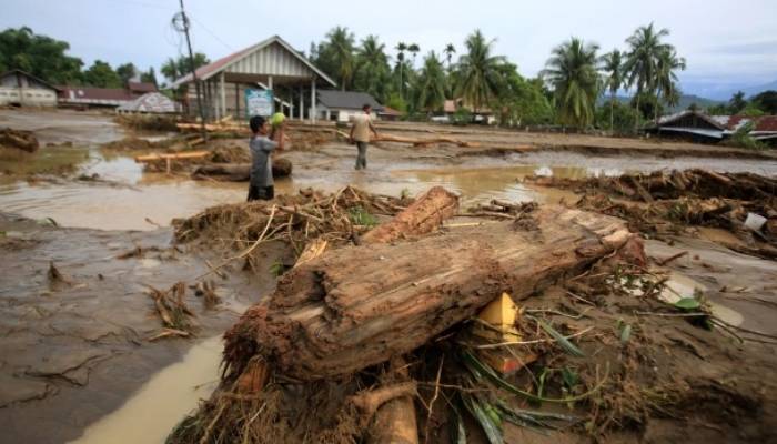 Banjir membawa kayu gelondongan.