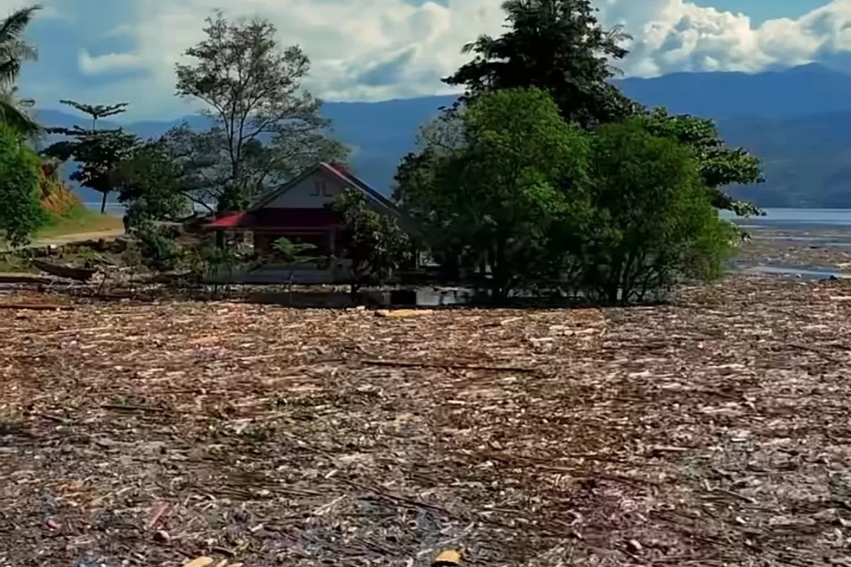 Danau Singkarak berubah drastis setelah banjir bandang, tertutup kayu gelondongan, dampak besar bagi pariwisata.