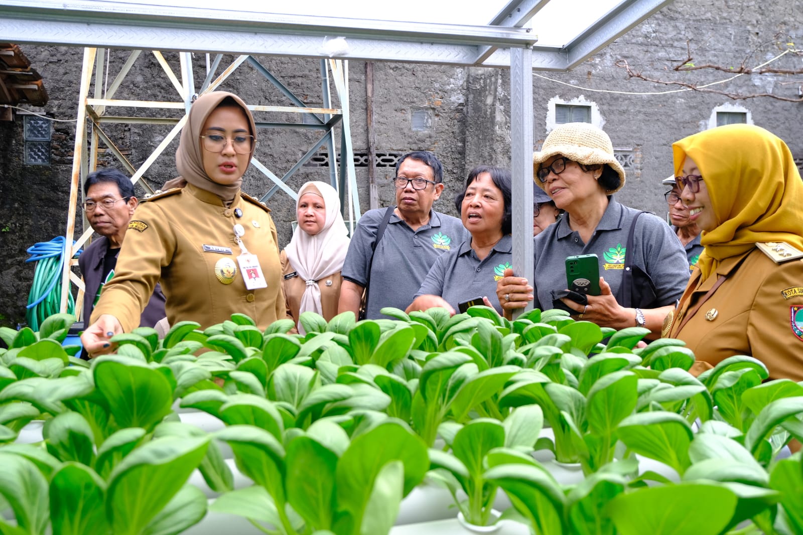 Astrid Widayani: Urban Farming di Sumber Jadi Contoh Kota Solo Ramah Lansia