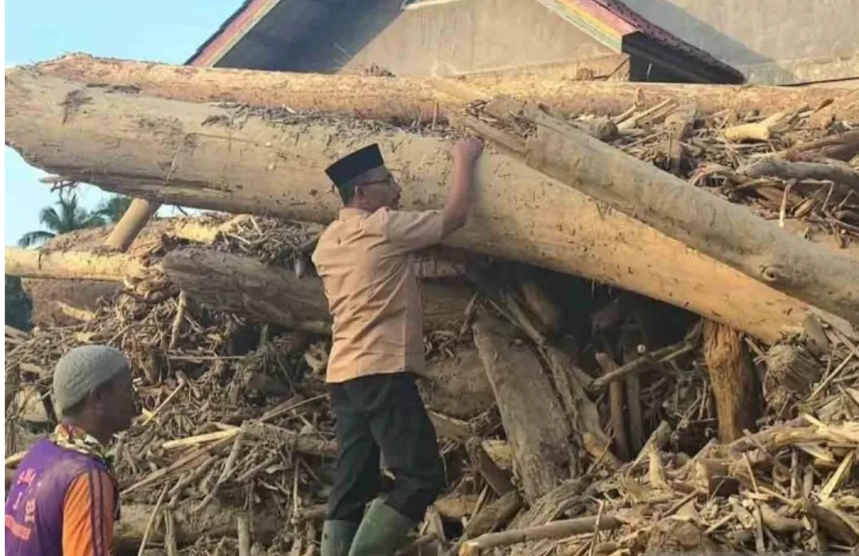 Kayu Gelondongan diduga jadi penyebab banjir Sumatera.