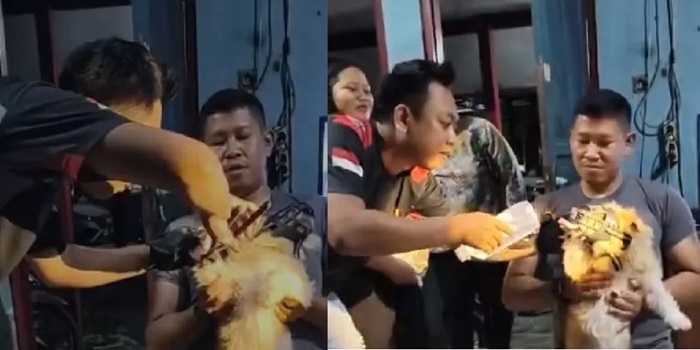 Pemadam Kebakaran (Damkar) Wonogiri kembali melakukan penyelamatan pada anjing yang menginjak paku.