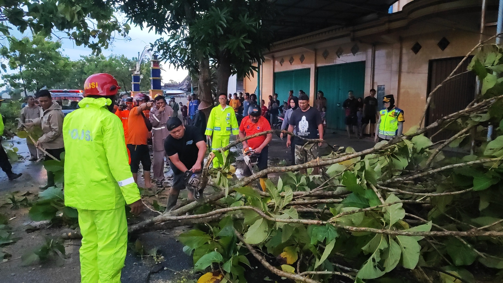 Pohon Jalanan Masaran Sragen Roboh Beruntun