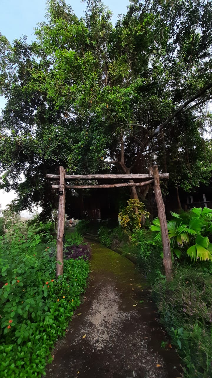 Wisata alam Gua Ngesong Sukoharjo menyuguhkan ketenangan, rembesan air alami, serta panorama sunrise di lereng perbukitan.