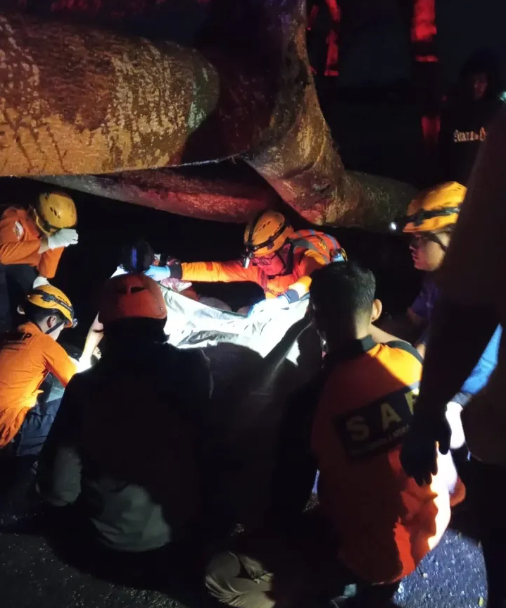 Kecelakaan di Mojolaban Sukoharjo menewaskan satu remaja setelah motor menabrak pohon tumbang saat hujan deras.