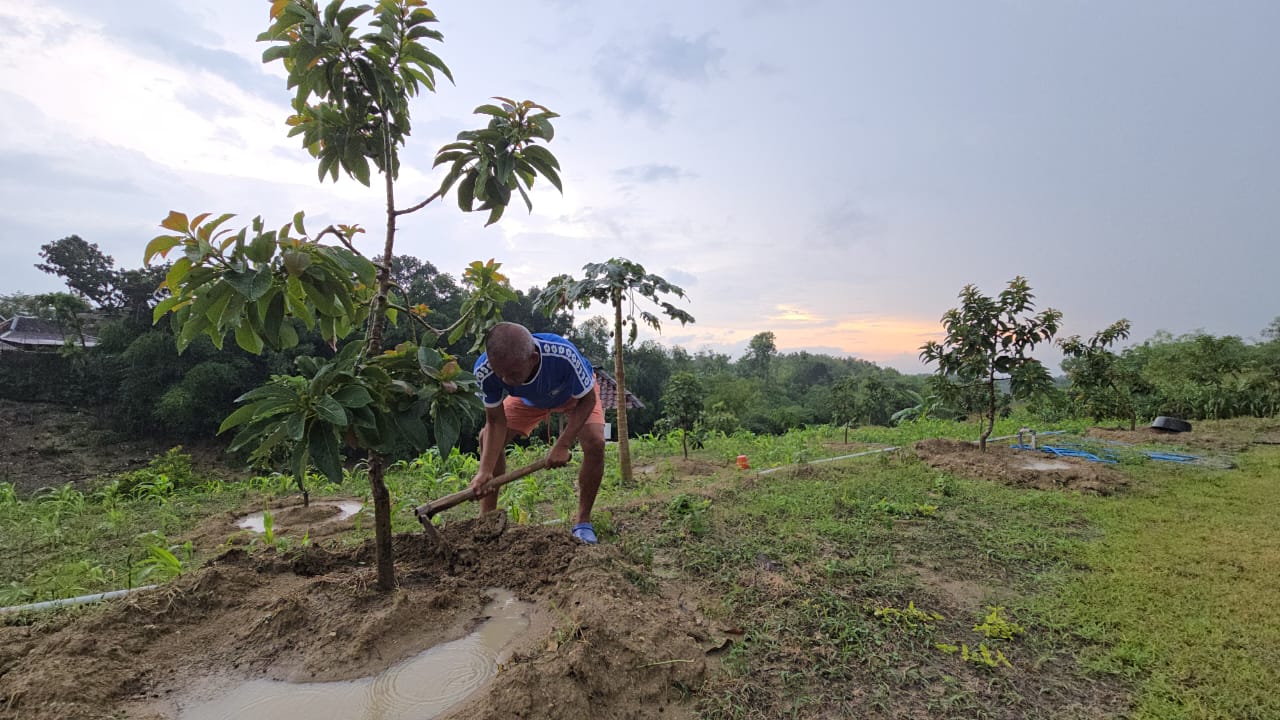 Tatag Prabawanto, mantan Sekda Sragen, yang memanfaatkan dana pensiun untuk menghidupkan lahan kritis bekas galian C menjadi hutan buah berkelanjutan.