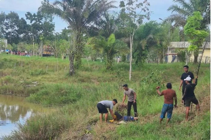 Seorang ibu paruh baya di Tarakan diserang buaya sepanjang 3 meter di Waduk Persemaian, Karang Harapan, pada Senin sore (19/1/2026).