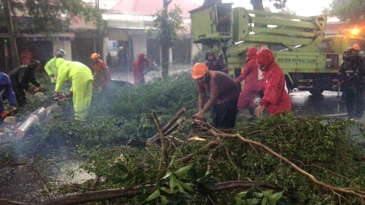 Hujan Deras dan Angin Kencang Lumpuhkan Sejumlah Akses di Boyolali, 21 Pohon Tumbang