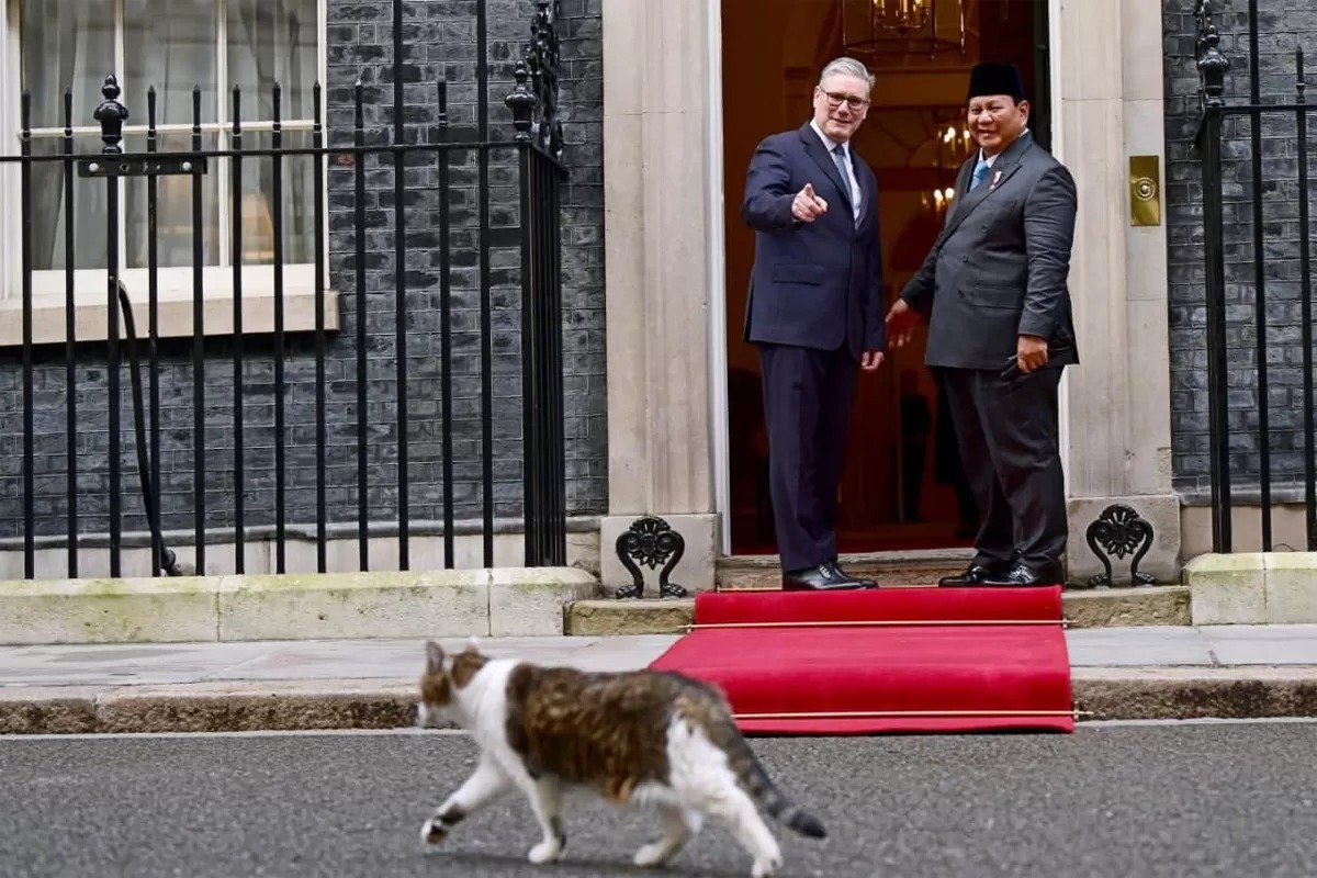Larry the Cat, kucing ikonik penghuni tetap kantor Perdana Menteri Inggris berjalan mendekati Presiden Prabowo dan PM Inggris Keir Starmer.