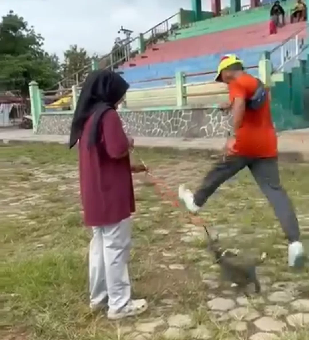 Viral Kucing Mati Ditendang di Stadion Kridosono Blora.