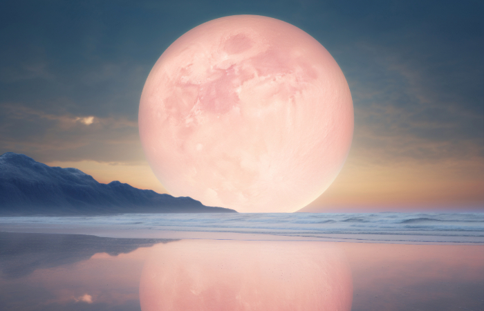 Ilustrasi Pink Moon.