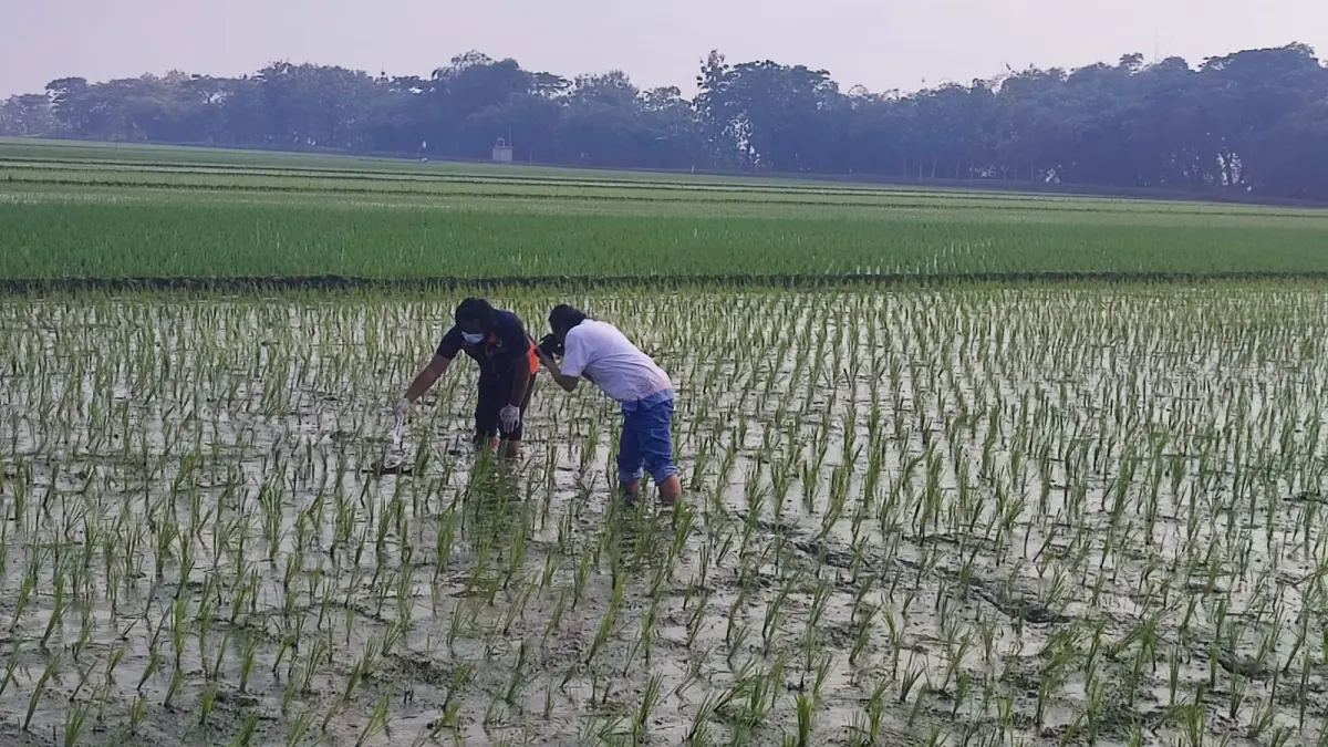 LAGI : Olah TKP ulang dilakukan, atas kematian Rosita wanita asal Grobogan