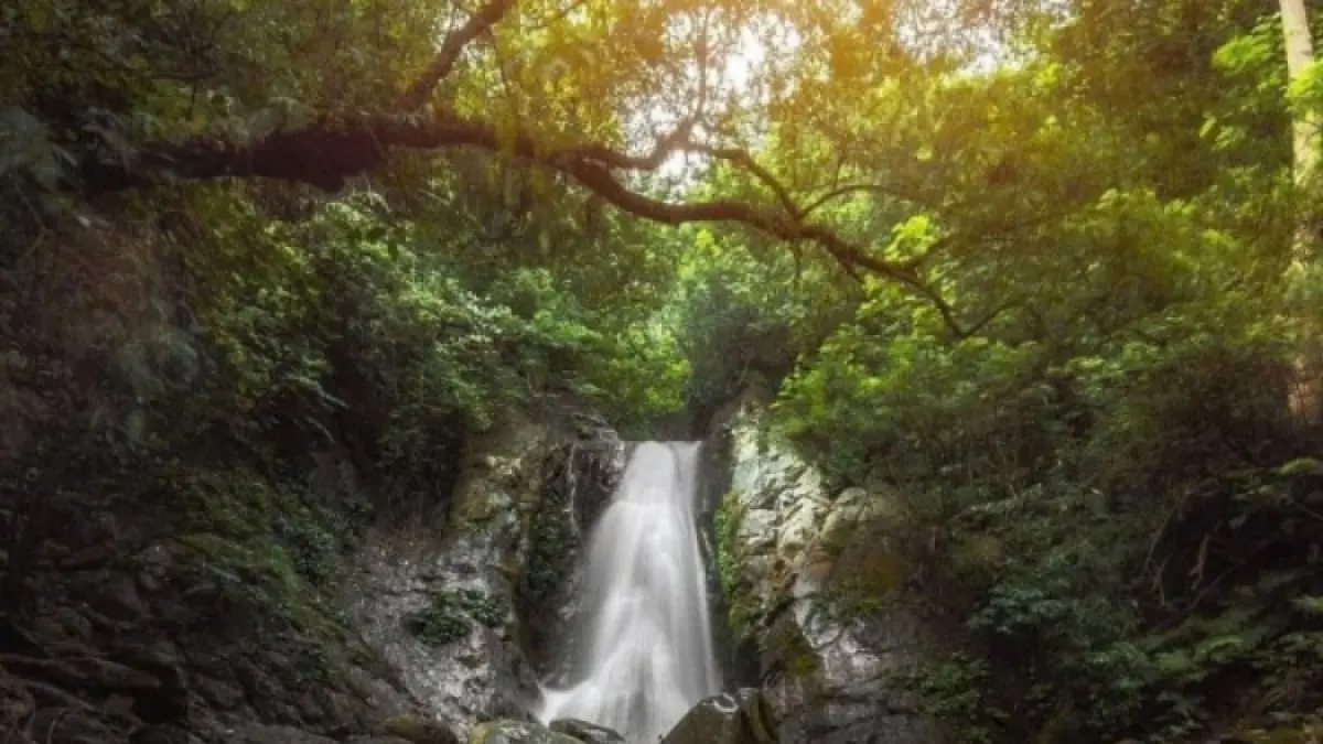 Keindahan Air Terjun Kedung Sriti yang terletak di balik rimbunnya hutan Tawangmangu, Karanganyar. Menawarkan ketinggian sekitar 10 meter dengan kolam alami (kedung) yang jernih, destinasi ini menjadi pilihan tepat bagi wisatawan yang mencari ketenangan dan jalur petualangan yang menantang. (ISTIMEWA)