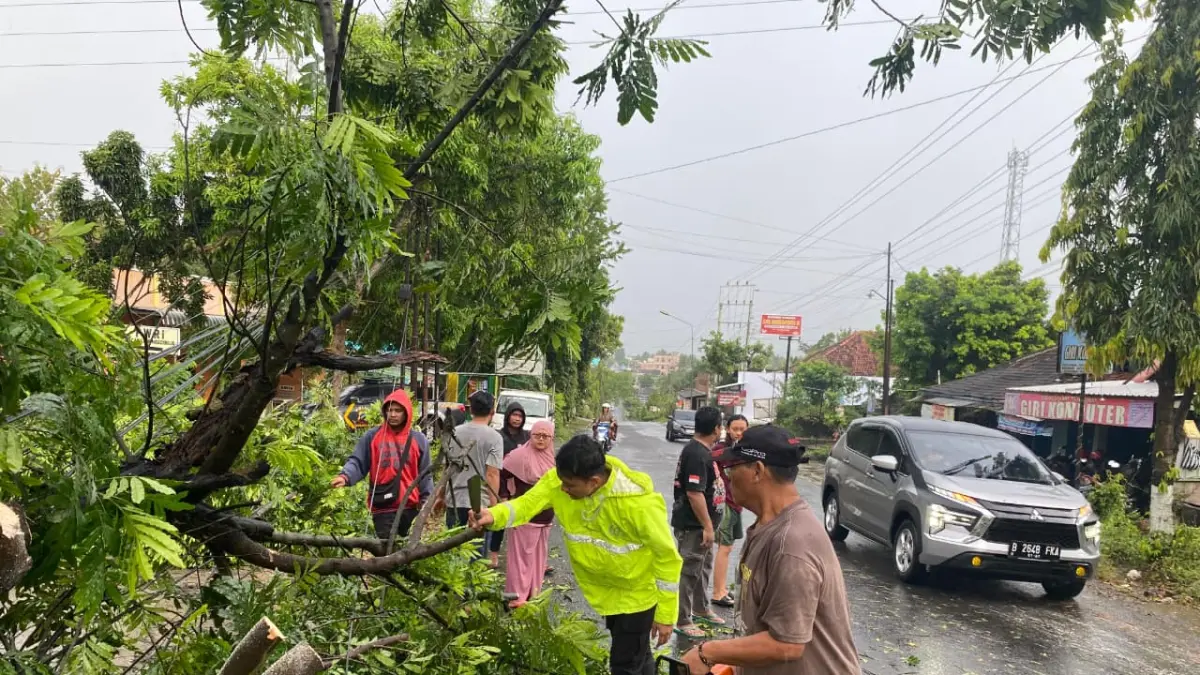 Hujan lebat dan angin kencang yang melanda Ngadirojo menyebakab pohon tumbang dan menimpa rumah warga. (IWAN ADI LUHUNG/SOLOBALAPAN.COM)