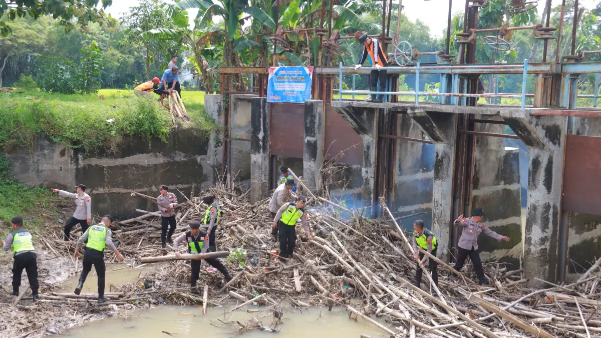 Kegiatan bersih-bersih bendung Siluwur, Kecamatan Weru belum lama ini. (DOK. RASO)