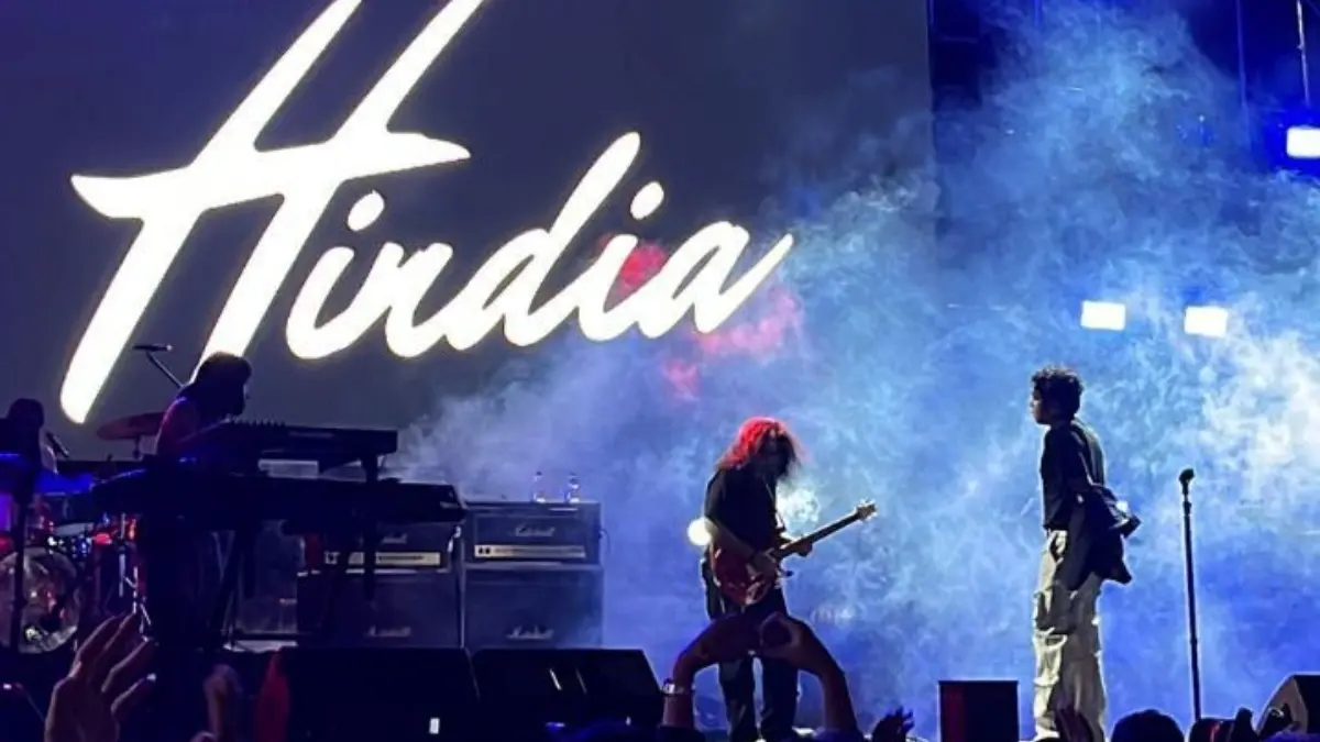 Potret Konser Hindia (Pinterest.id/Moonlightx)